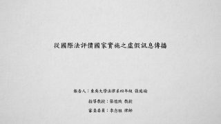 從國際法評價國家實施之虛假訊息傳播 張庭瑜